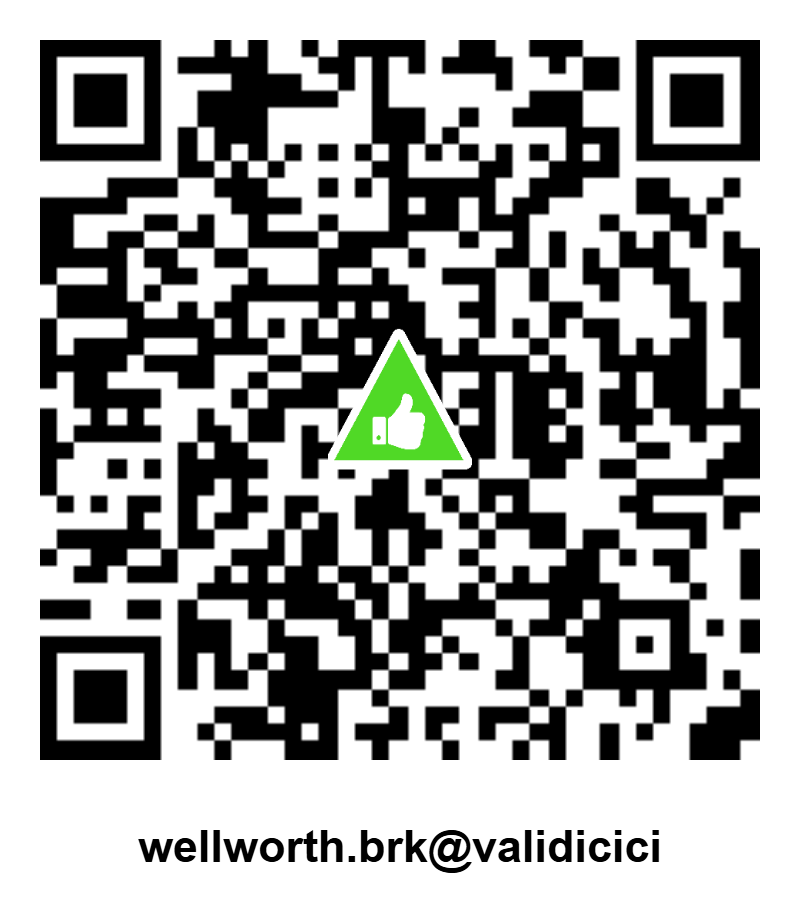 wellworth.fo.brk@validicici