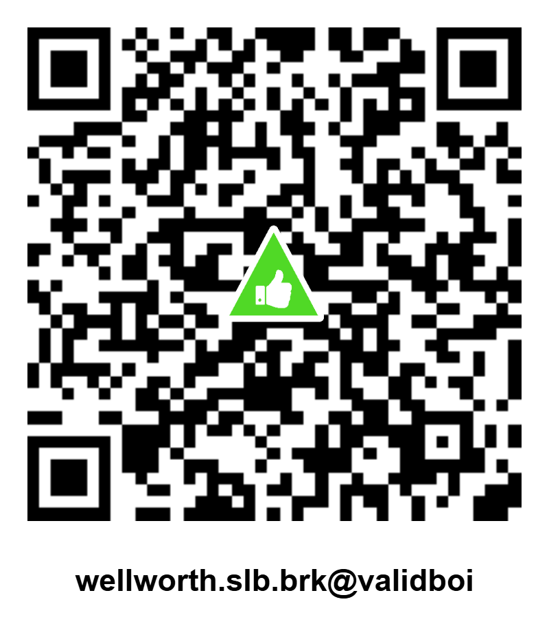 wellworth.brk@validboi